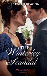 Elizabeth Beacon - The Winterley Scandal