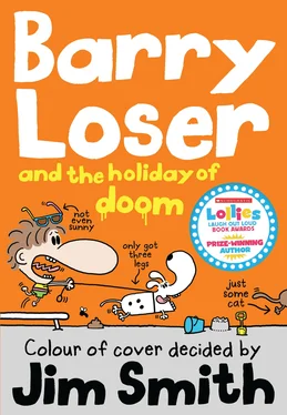 Jim Smith Barry Loser and the Holiday of Doom обложка книги