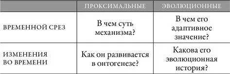 Благодаря вопросам Тинбергена я осознал что спорить ночами до хрипоты нас с - фото 2