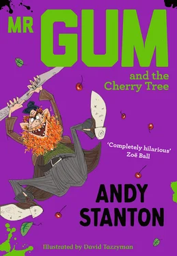 Andy Stanton Mr Gum and the Cherry Tree обложка книги