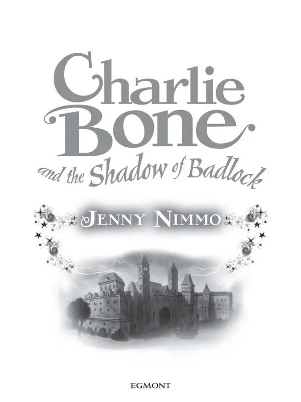Charlie Bone and the Shadow of Badlock - изображение 1