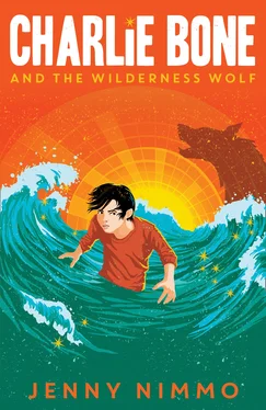 Jenny Nimmo Charlie Bone and the Wilderness Wolf обложка книги