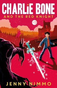 Jenny Nimmo Charlie Bone and the Red Knight обложка книги