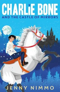 Jenny Nimmo Charlie Bone and the Castle of Mirrors обложка книги