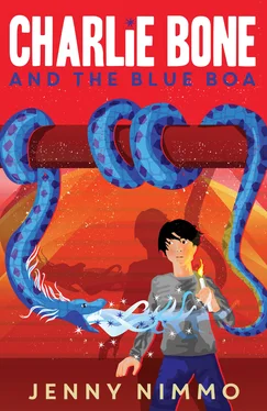 Jenny Nimmo Charlie Bone and the Blue Boa обложка книги
