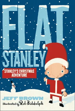 Jeff Brown Stanley's Christmas Adventure обложка книги