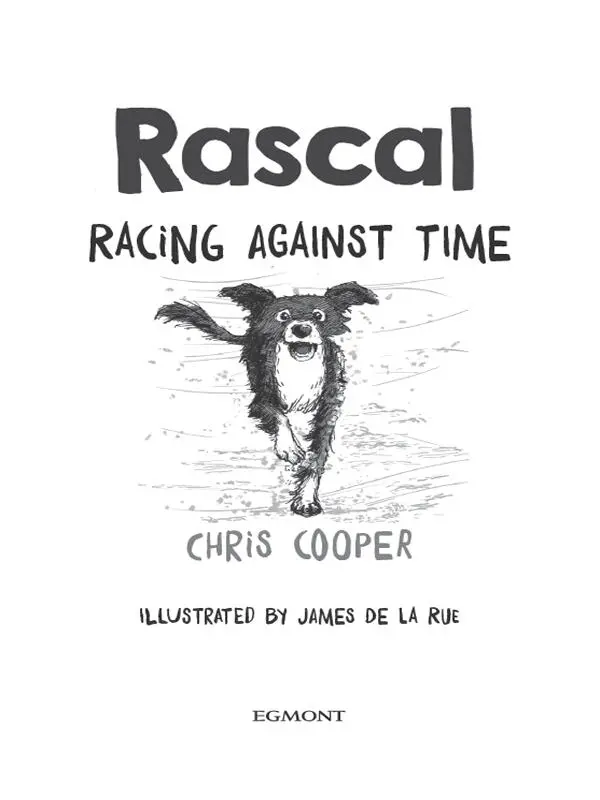 Rascal Racing Against Time - изображение 7