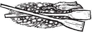 CHAPTER FIVE 5 River Thief 6 TwoBellies Revenge 7 The Queens Uncle 8 Keeping - фото 10