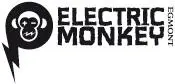 First published in Great Britain 2014 by Electric Monkey an imprint of Egmont - фото 2