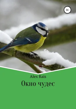 Alex Rais Окно чудес обложка книги