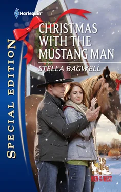 Stella Bagwell Christmas with the Mustang Man обложка книги