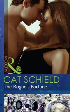 Cat Schield The Rogue's Fortune обложка книги