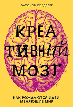 Элхонон Голдберг Креативный мозг. Как рождаются идеи, меняющие мир обложка книги