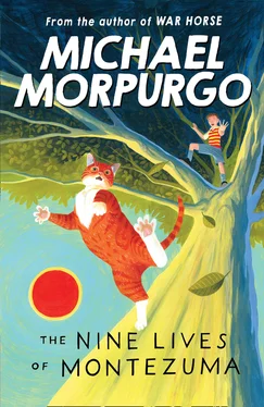 Michael Morpurgo The Nine Lives of Montezuma