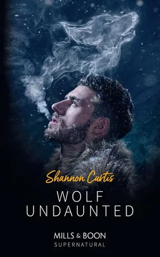 Shannon Curtis Wolf Undaunted обложка книги