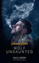 Shannon Curtis - Wolf Undaunted