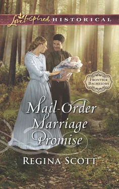 Regina Scott Mail-Order Marriage Promise обложка книги