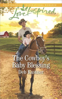 Deb Kastner The Cowboy's Baby Blessing обложка книги