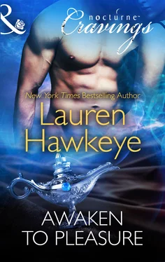 Lauren Hawkeye Awaken to Pleasure обложка книги