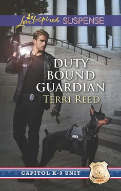 Terri Reed Duty Bound Guardian обложка книги