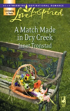 Janet Tronstad A Match Made in Dry Creek обложка книги