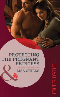 Lisa Childs Protecting the Pregnant Princess обложка книги