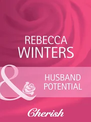 Rebecca Winters - Husband Potential