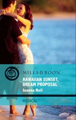 Joanna Neil - Hawaiian Sunset, Dream Proposal