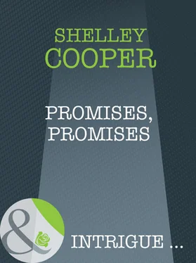 Shelley Cooper Promises, Promises обложка книги