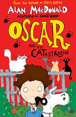 Alan MacDonald Oscar and the CATastrophe обложка книги