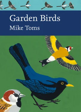 Mike Toms Garden Birds обложка книги