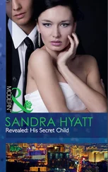 Sandra Hyatt - Revealed - His Secret Child