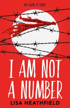 Lisa Heathfield I Am Not a Number обложка книги