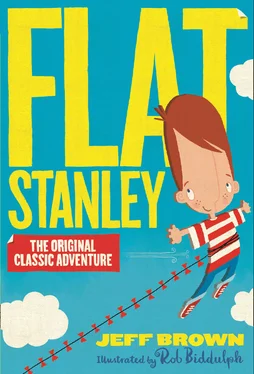 Jeff Brown Flat Stanley обложка книги
