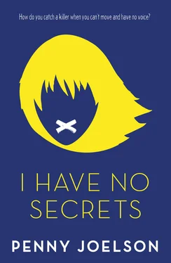 Penny Joelson I Have No Secrets обложка книги