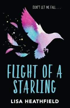 Lisa Heathfield Flight of a Starling обложка книги