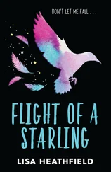Lisa Heathfield - Flight of a Starling