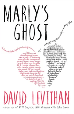 David Levithan Marly's Ghost обложка книги