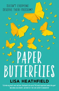 Lisa Heathfield Paper Butterflies обложка книги