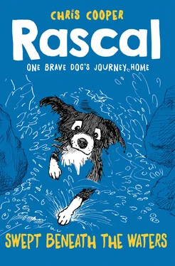 Chris Cooper Rascal: Swept Beneath The Waters обложка книги