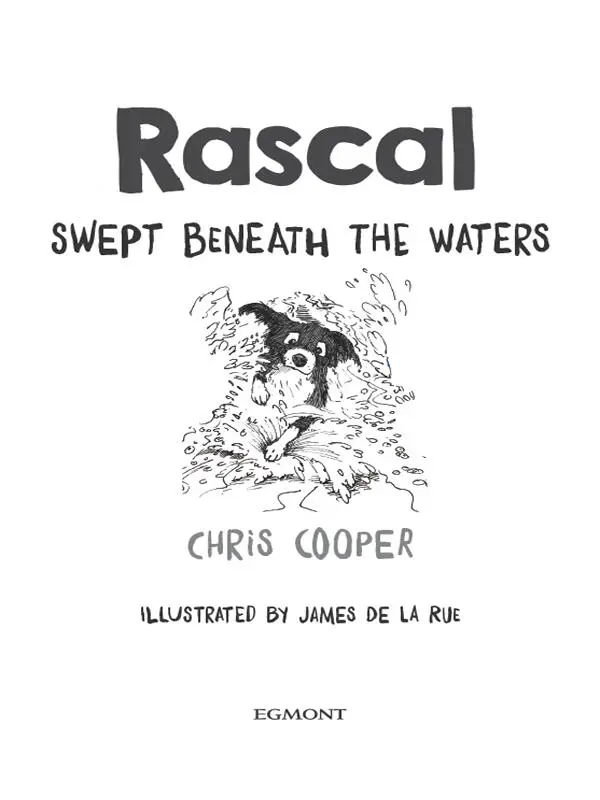 Rascal Swept Beneath The Waters - изображение 7
