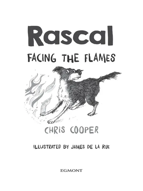 Rascal Facing the Flames - изображение 7