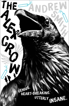 Andrew Smith The Alex Crow обложка книги