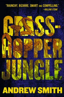 Andrew Smith Grasshopper Jungle обложка книги