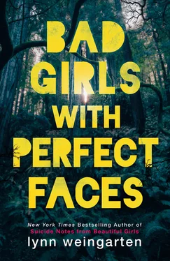 Lynn Weingarten Bad Girls with Perfect Faces