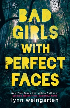 Lynn Weingarten Bad Girls with Perfect Faces обложка книги