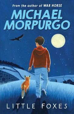 Michael Morpurgo Little Foxes обложка книги