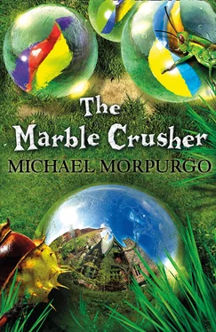 Michael Morpurgo The Marble Crusher обложка книги