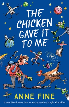 Anne Fine The Chicken Gave it to Me обложка книги