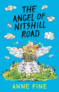 Anne Fine The Angel of Nitshill Road обложка книги